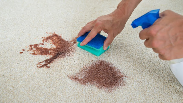 carpet stain removal 