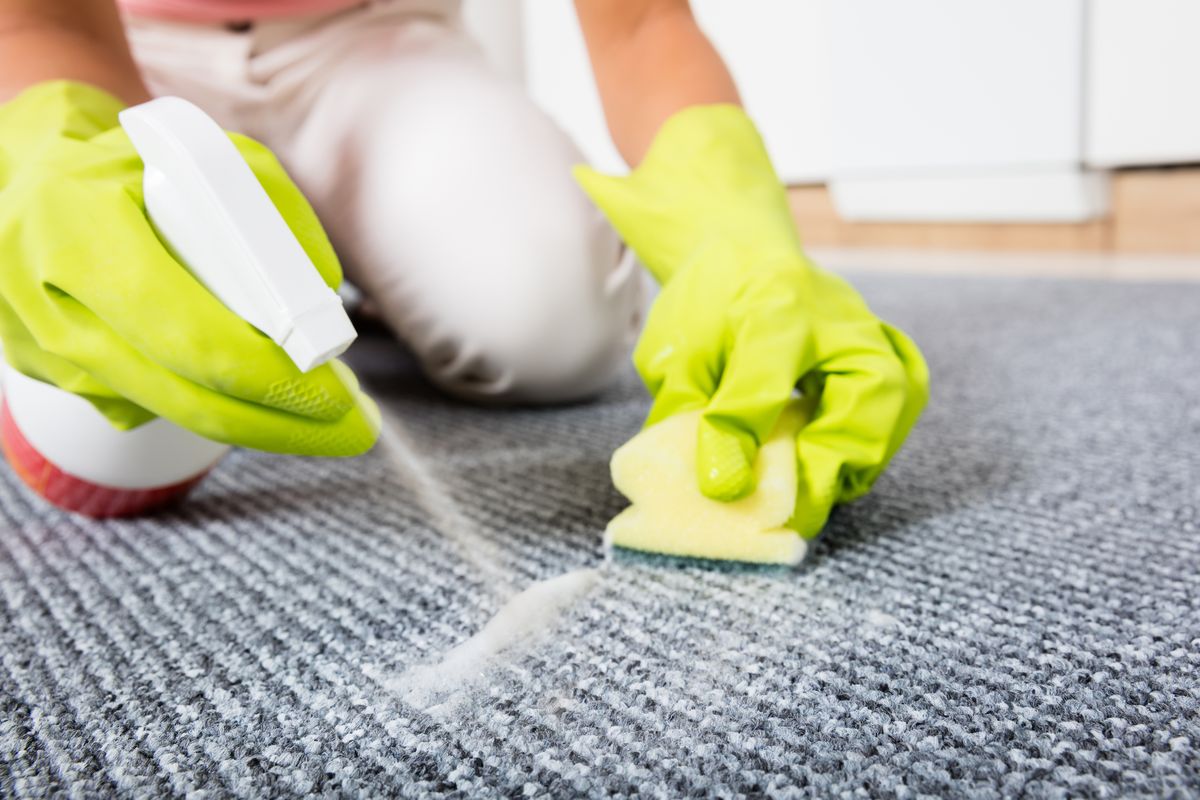 carpet stain removal melbourne