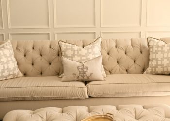 professional couch cleaning