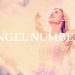 ANGEL NUMBERS