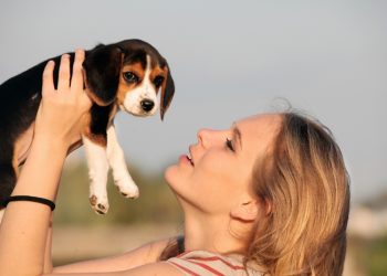 pet owners - featured image