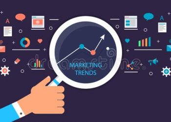 seo trends