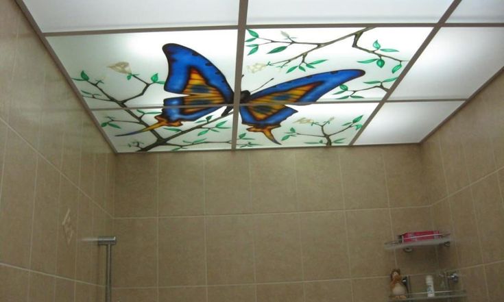  The Acrylic Bathroom Ceiling