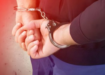 Prison Drug Smuggler given Home Detention